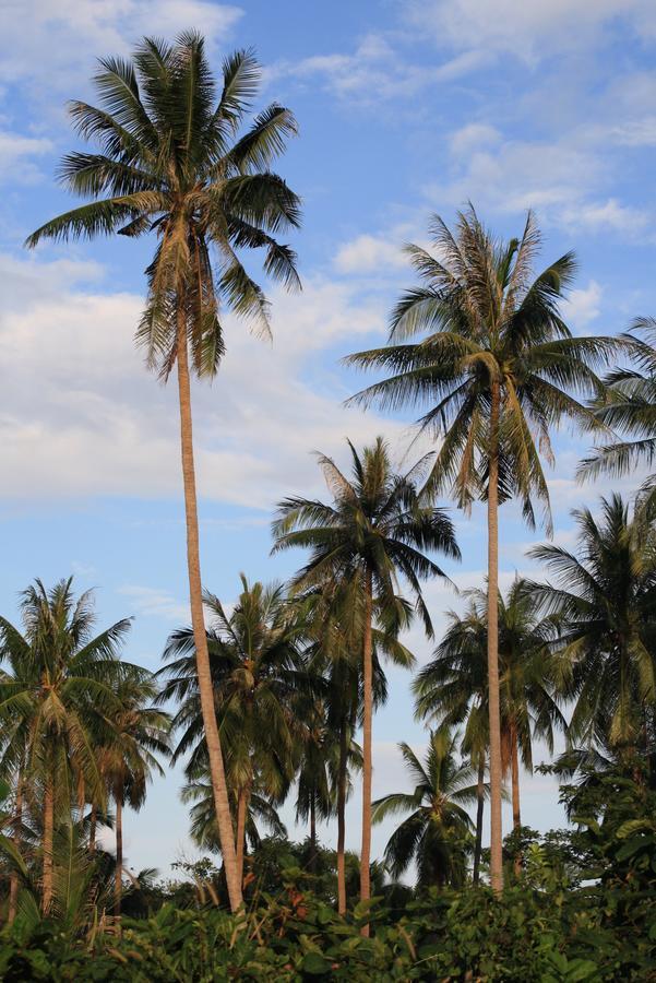 Samui Le Reve Hotel Na Mueang Bagian luar foto